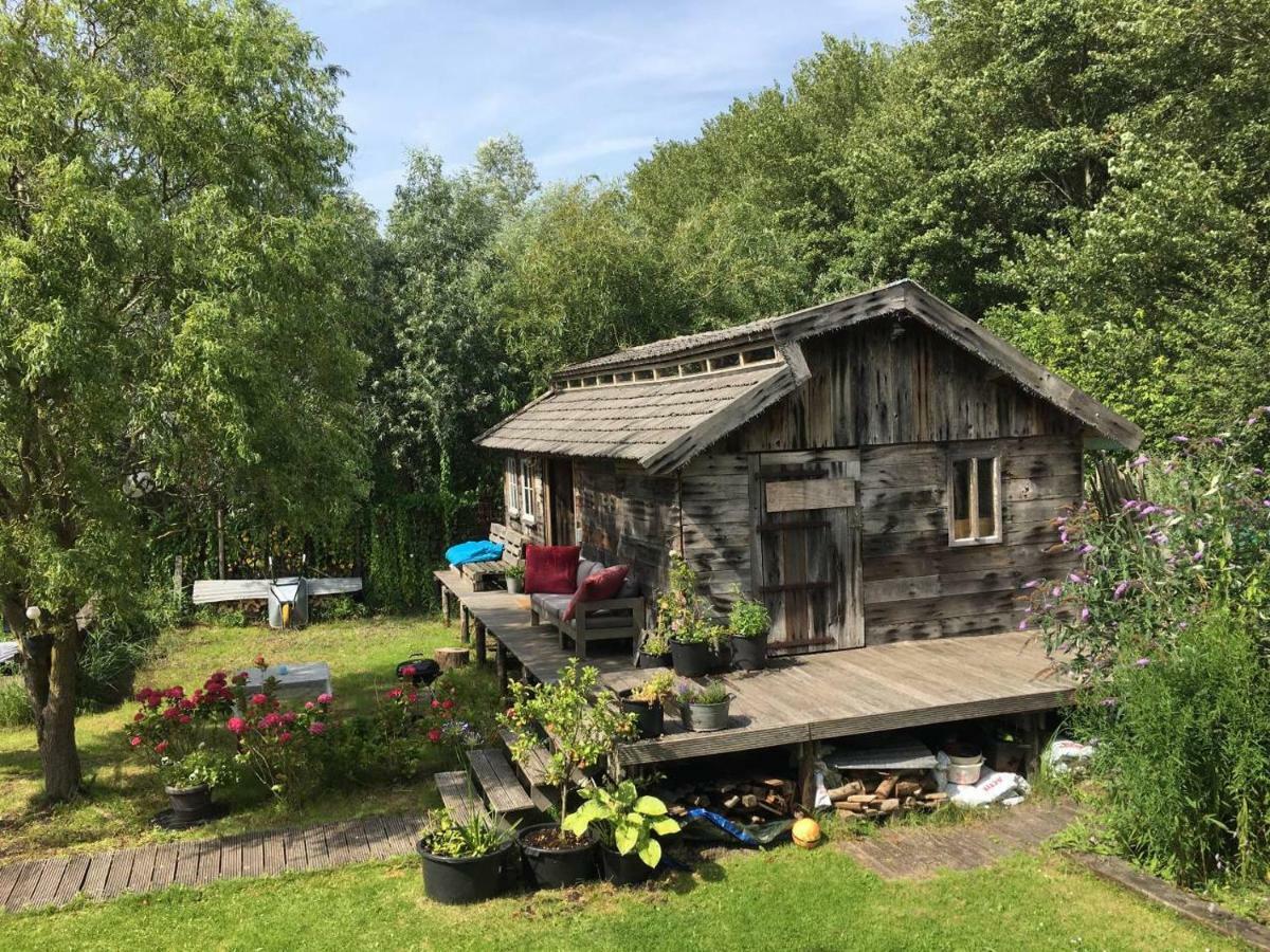 Cabin In The Green - Near Amsterdam Velsen Zuid Bagian luar foto
